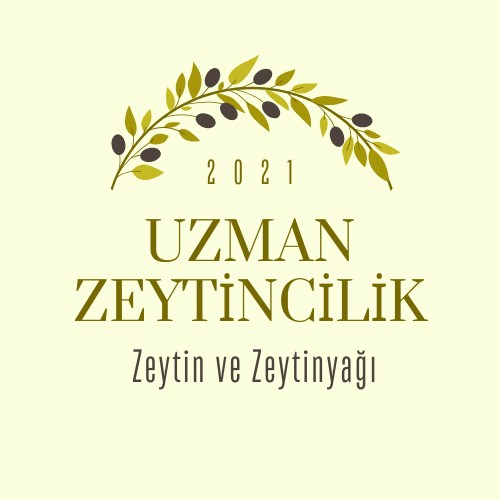 https://uzmanzeytincilik.com/